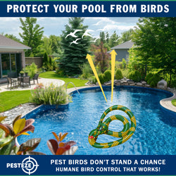 PESTEZE® USA Inflatible Snake [1 PACK Curly Yellow-Green] Predators Pest Birds  like Woodpeckers, Sparrows, Pigeons, Crows, Gulls & Critters from Pools & Yards without Harming them to Protect Property