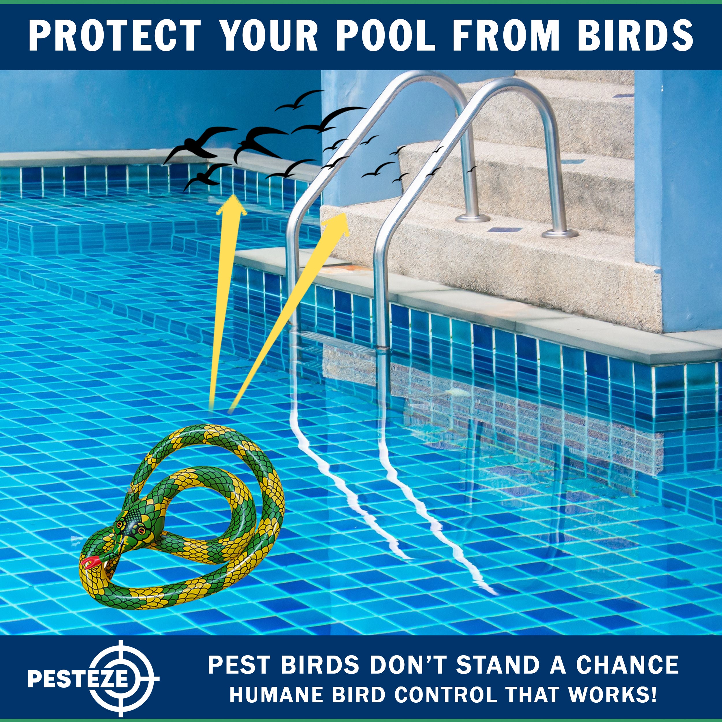 PESTEZE® USA Inflatible Snake [1 PACK Curly Yellow-Green] Predators Pest Birds  like Woodpeckers, Sparrows, Pigeons, Crows, Gulls & Critters from Pools & Yards without Harming them to Protect Property
