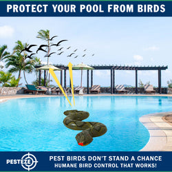 PESTEZE® USA Green 39 Inch Realistic Inflatable Snakes [1 Pack] Deters Pest Birds like Woodpeckers, Sparrows, Pigeons, Crows, Gulls & Critters from Pools & Yards without Harming them to Protect Property