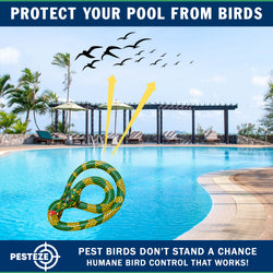 PESTEZE® USA Inflatible Snake [1 PACK Curly Yellow-Green] Predators Pest Birds  like Woodpeckers, Sparrows, Pigeons, Crows, Gulls & Critters from Pools & Yards without Harming them to Protect Property
