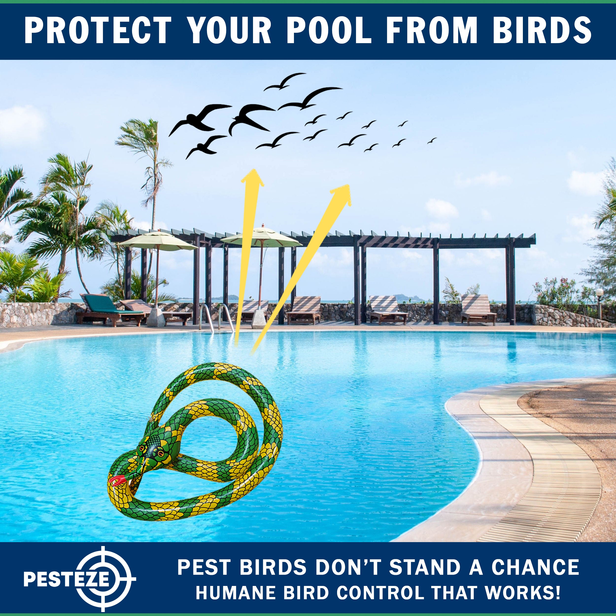 PESTEZE® USA Inflatible Snake [1 PACK Curly Yellow-Green] Predators Pest Birds  like Woodpeckers, Sparrows, Pigeons, Crows, Gulls & Critters from Pools & Yards without Harming them to Protect Property