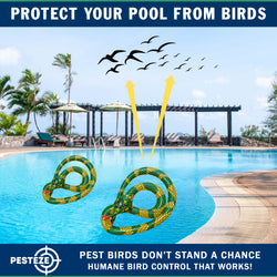 PESTEZE® USA 27 Inch Inflatible Snake [2 Pack Curly Yellow-Green Color] Scares Pest Birds Like Ducks Woodpeckers, Sparrows, Pigeons, Crows, Gulls & Critters from Pools & Yards Without Harming them to Protect Property
