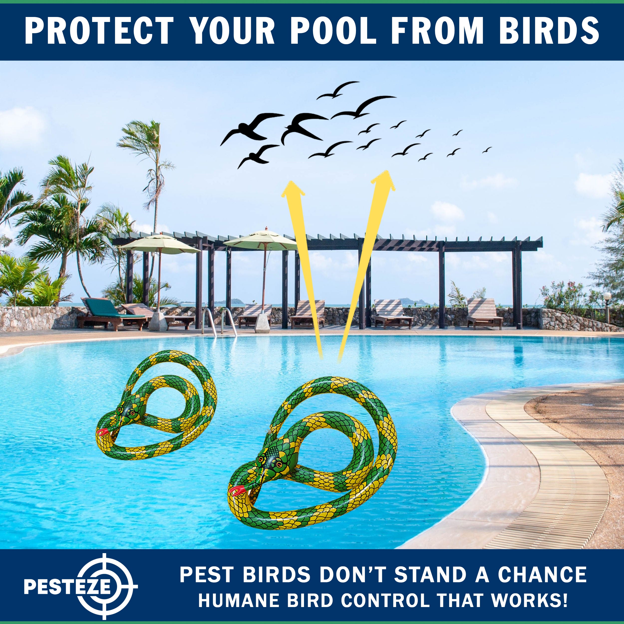 PESTEZE® USA 27 Inch Inflatible Snake [2 Pack Curly Yellow-Green Color] Scares Pest Birds Like Ducks Woodpeckers, Sparrows, Pigeons, Crows, Gulls & Critters from Pools & Yards Without Harming them to Protect Property