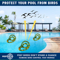 PESTEZE® USA 27 Inch Inflatable Snake [3 Pack - Yellow-Green Color] Predators Pest Birds  like Woodpeckers, Sparrows, Pigeons, Crows, Gulls & Critters from Pools & Yards without Harming them to Protect Property