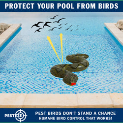 PESTEZE® USA Green 39 Inch Realistic Inflatable Snakes [1 Pack] Deters Pest Birds like Woodpeckers, Sparrows, Pigeons, Crows, Gulls & Critters from Pools & Yards without Harming them to Protect Property