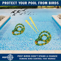 PESTEZE® USA 27 Inch Inflatible Snake [2 Pack Curly Yellow-Green Color] Scares Pest Birds Like Ducks Woodpeckers, Sparrows, Pigeons, Crows, Gulls & Critters from Pools & Yards Without Harming them to Protect Property