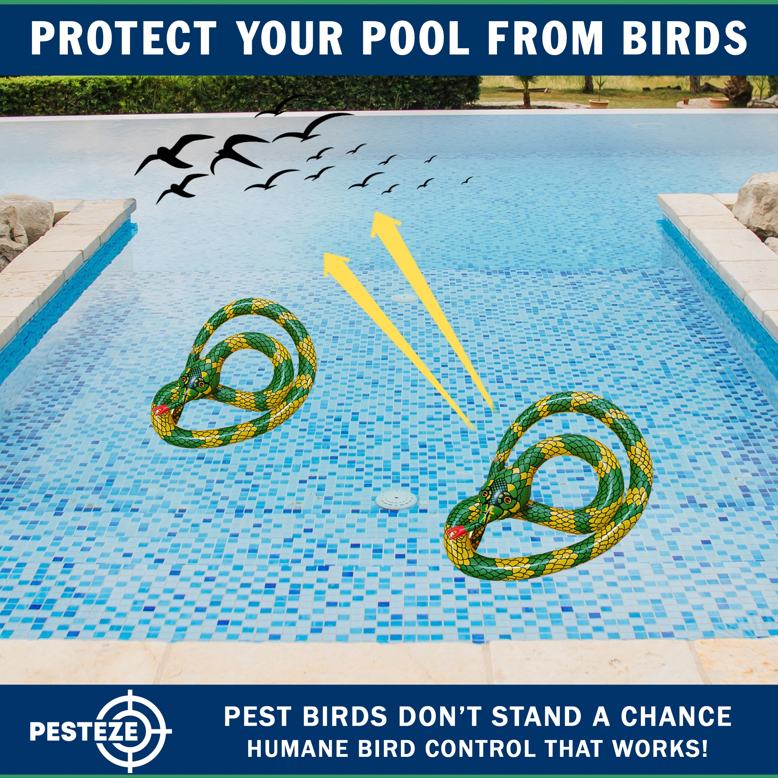 PESTEZE® USA 27 Inch Inflatible Snake [2 Pack Curly Yellow-Green Color] Scares Pest Birds Like Ducks Woodpeckers, Sparrows, Pigeons, Crows, Gulls & Critters from Pools & Yards Without Harming them to Protect Property