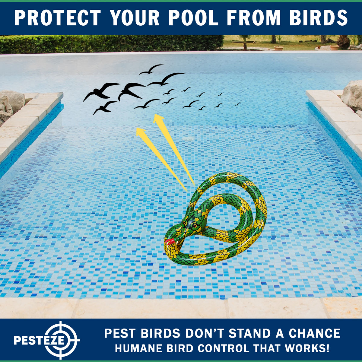 PESTEZE® USA Inflatible Snake [1 PACK Curly Yellow-Green] Predators Pest Birds  like Woodpeckers, Sparrows, Pigeons, Crows, Gulls & Critters from Pools & Yards without Harming them to Protect Property