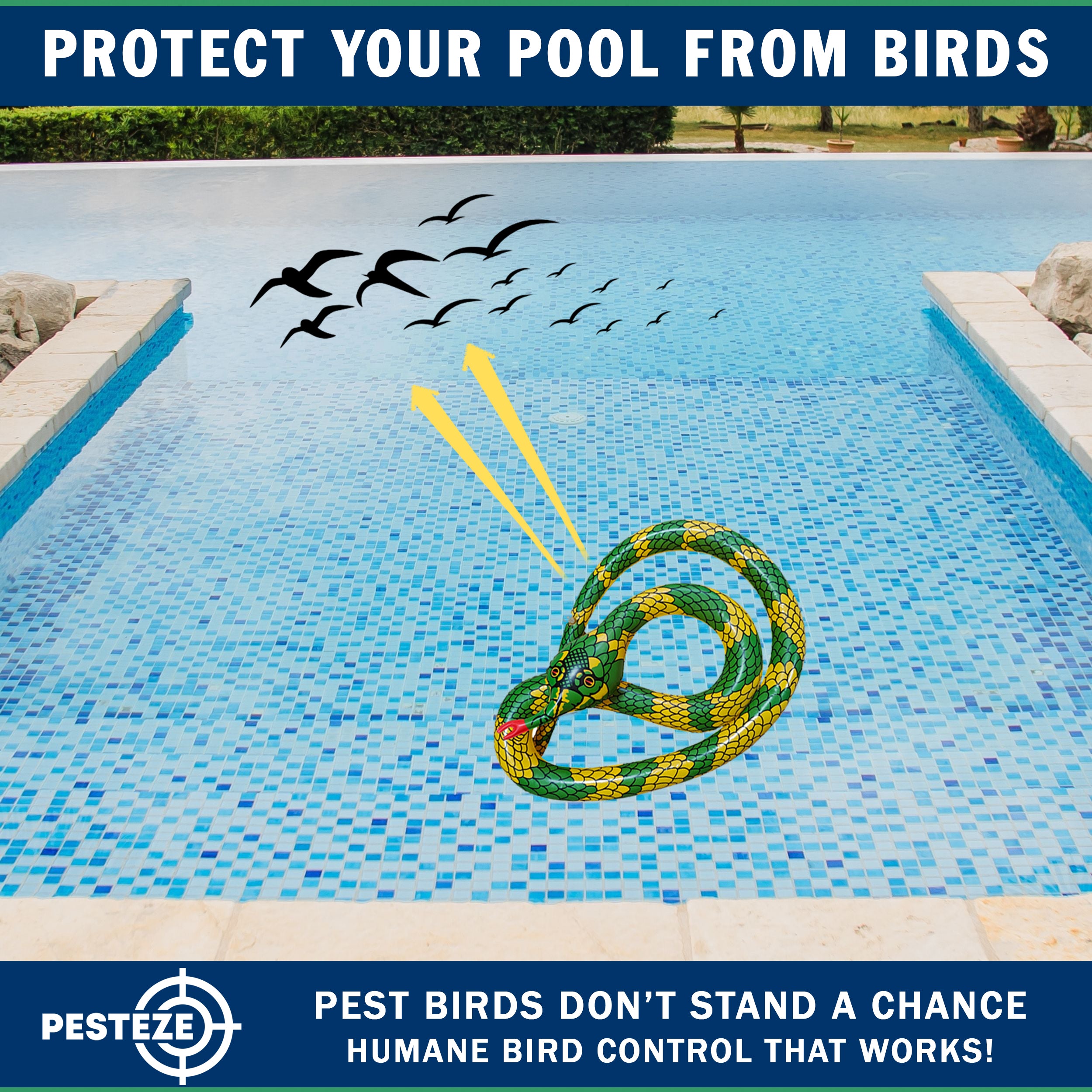 PESTEZE® USA Inflatible Snake [1 PACK Curly Yellow-Green] Predators Pest Birds  like Woodpeckers, Sparrows, Pigeons, Crows, Gulls & Critters from Pools & Yards without Harming them to Protect Property
