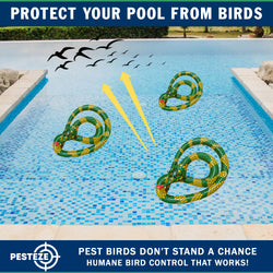 PESTEZE® USA 27 Inch Inflatable Snake [3 Pack - Yellow-Green Color] Predators Pest Birds  like Woodpeckers, Sparrows, Pigeons, Crows, Gulls & Critters from Pools & Yards without Harming them to Protect Property