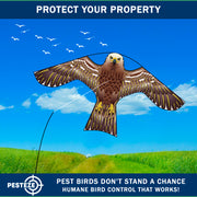 PESTEZE® USA Hawk Kite [47x27 Inch Kite with 13 Ft Flagpole] Provides Humane Bird Deterrence in Yards & Farms. Protects Vegetables, Fruits & Crops from Pest Birds & Critters