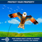 PESTEZE® USA Brown Eagle Bird Deterrent Kite with 13 ft Flagpole - Use in Yards & Farms to Protect Vegetables, Fruits, Crops & Property from Pest Birds