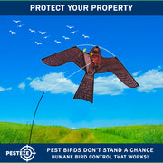 PESTEZE® USA Realistic Hawk Bird Scarer Kite [46 x 26 Inch with 13 ft Flagpole]. Use in Yards & Farms to Protect Vegetables, Fruits, Crops & Buildings from Pest Birds & Critters without Harming Them