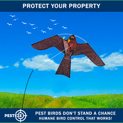 PESTEZE® USA Realistic Hawk Bird Scarer Kite [46 x 26 Inch with 13 ft Flagpole]. Use in Yards & Farms to Protect Vegetables, Fruits, Crops & Buildings from Pest Birds & Critters without Harming Them