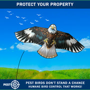 PESTEZE® USA Flying Hawk Bird Deterrent Kite, 13 ft Pole– Realistic 54x30 Inch Hawk Decoy Scare Device for Gardens, Yards, Boats & Farms– Repels Pest Birds like Crows, Pigeons, Seagulls, Geese Humanely
