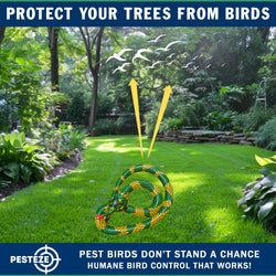 PESTEZE® USA Inflatible Snake [1 PACK Curly Yellow-Green] Predators Pest Birds  like Woodpeckers, Sparrows, Pigeons, Crows, Gulls & Critters from Pools & Yards without Harming them to Protect Property