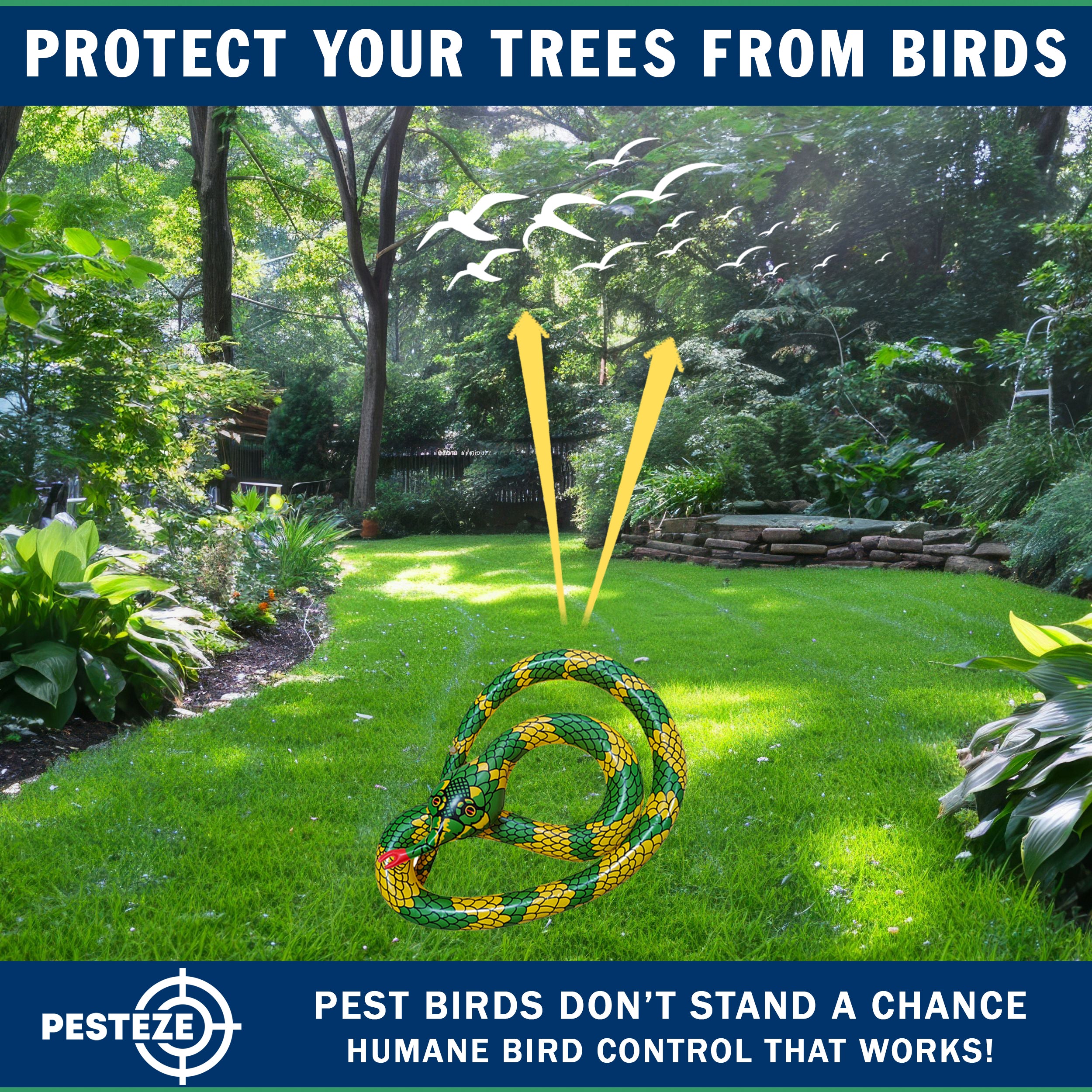 PESTEZE® USA Inflatible Snake [1 PACK Curly Yellow-Green] Predators Pest Birds  like Woodpeckers, Sparrows, Pigeons, Crows, Gulls & Critters from Pools & Yards without Harming them to Protect Property
