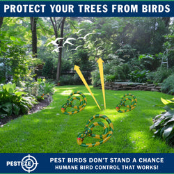 PESTEZE® USA 27 Inch Inflatable Snake [3 Pack - Yellow-Green Color] Predators Pest Birds  like Woodpeckers, Sparrows, Pigeons, Crows, Gulls & Critters from Pools & Yards without Harming them to Protect Property