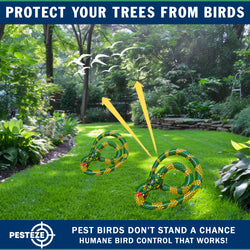 PESTEZE® USA 27 Inch Inflatible Snake [2 Pack Curly Yellow-Green Color] Scares Pest Birds Like Ducks Woodpeckers, Sparrows, Pigeons, Crows, Gulls & Critters from Pools & Yards Without Harming them to Protect Property