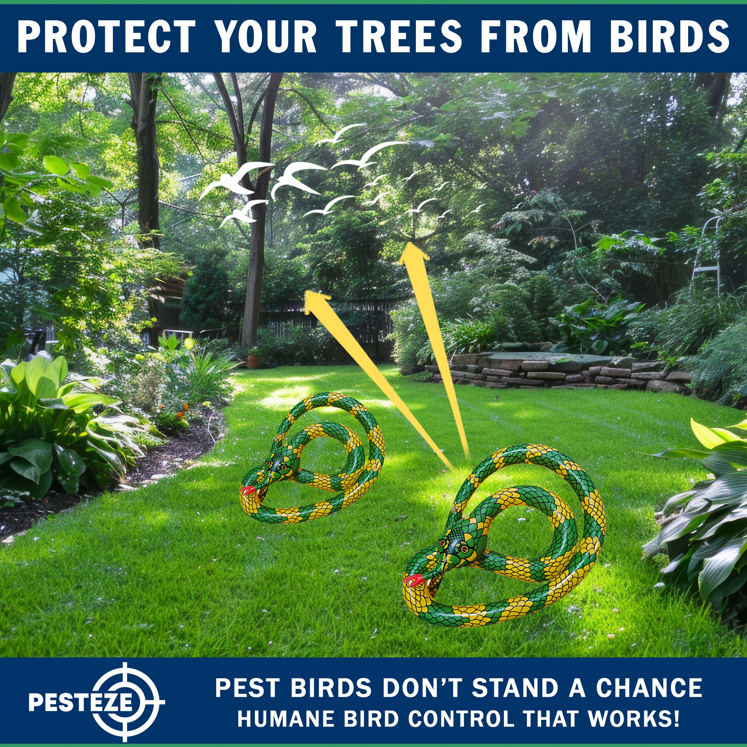 PESTEZE® USA 27 Inch Inflatible Snake [2 Pack Curly Yellow-Green Color] Scares Pest Birds Like Ducks Woodpeckers, Sparrows, Pigeons, Crows, Gulls & Critters from Pools & Yards Without Harming them to Protect Property