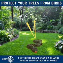 PESTEZE® USA Green 39 Inch Realistic Inflatable Snakes [1 Pack] Deters Pest Birds like Woodpeckers, Sparrows, Pigeons, Crows, Gulls & Critters from Pools & Yards without Harming them to Protect Property