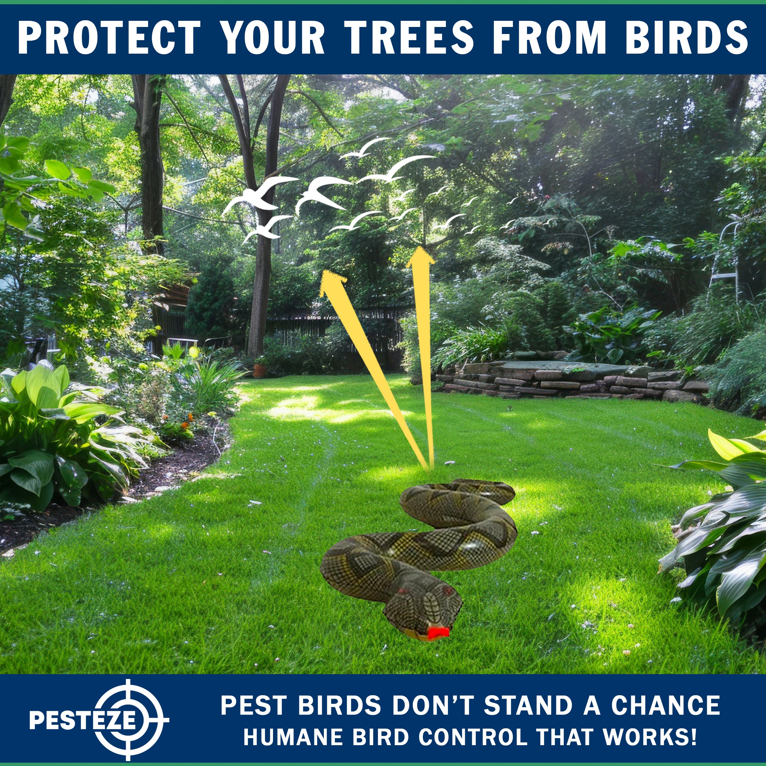 PESTEZE® USA Green 39 Inch Realistic Inflatable Snakes [1 Pack] Deters Pest Birds like Woodpeckers, Sparrows, Pigeons, Crows, Gulls & Critters from Pools & Yards without Harming them to Protect Property