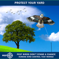PESTEZE® USA Huge Blue Eagle Kite [63x29 Inch Kite with 13 Ft Flagpole] Provides Humane Bird Deterrence in Yards & Farms. Protects Vegetables, Fruits & Crops from Pest Birds & Critters