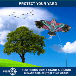 PESTEZE® USA Huge Red Eagle Kite [60x28 Inch Kite with 13 Ft Flagpole] Provides Humane Bird Deterrence in Yards & Farms. Protects Vegetables, Fruits & Crops from Pest Birds & Critters