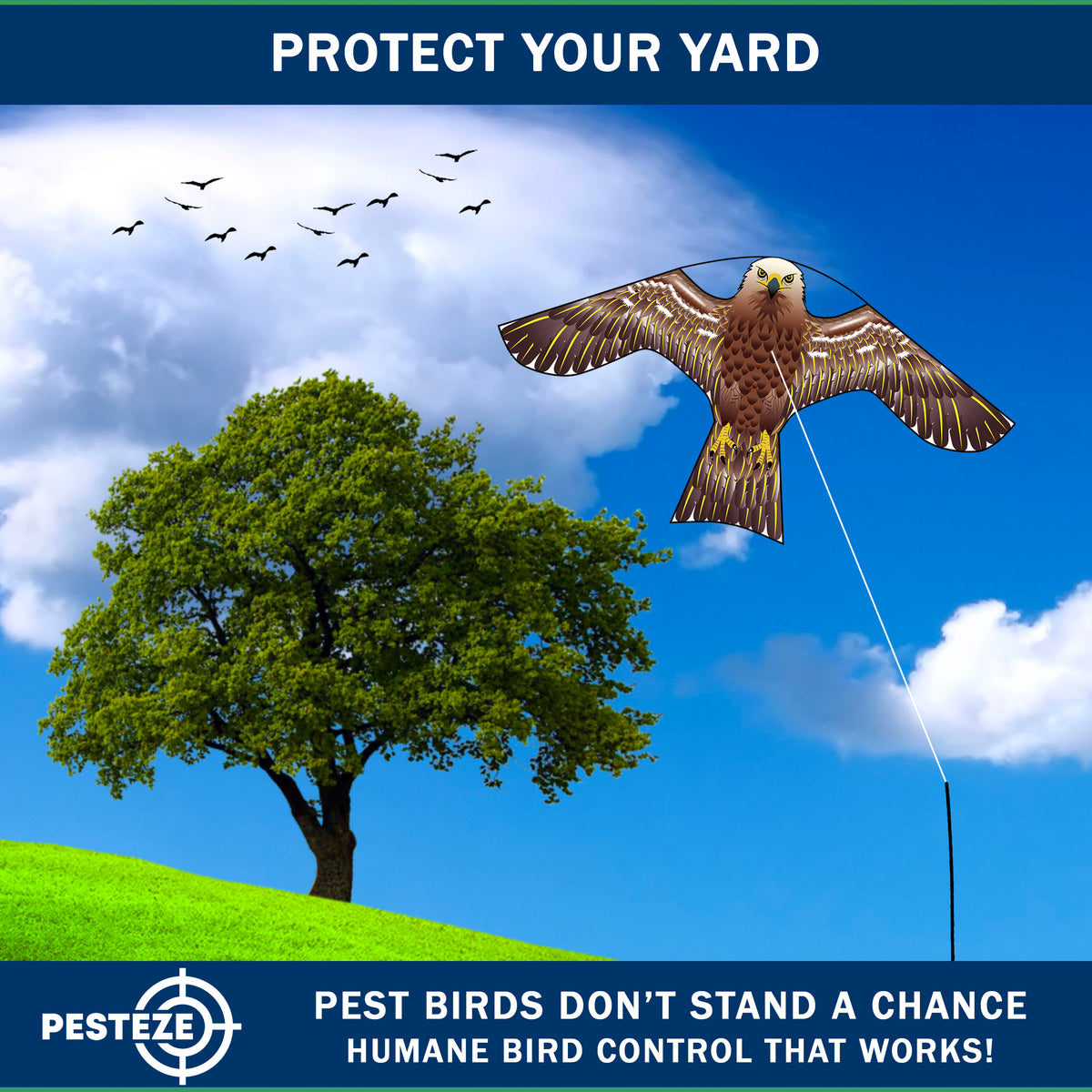 PESTEZE® USA Hawk Kite [47x27 Inch Kite with 13 Ft Flagpole] Provides Humane Bird Deterrence in Yards & Farms. Protects Vegetables, Fruits & Crops from Pest Birds & Critters