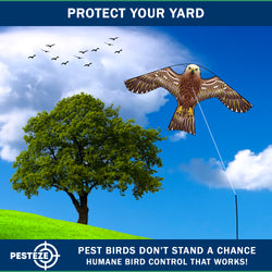 PESTEZE® USA Hawk Kite [47x27 Inch Kite with 13 Ft Flagpole] Provides Humane Bird Deterrence in Yards & Farms. Protects Vegetables, Fruits & Crops from Pest Birds & Critters