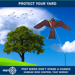 PESTEZE® USA Realistic Hawk Bird Scarer Kite [46 x 26 Inch with 13 ft Flagpole]. Use in Yards & Farms to Protect Vegetables, Fruits, Crops & Buildings from Pest Birds & Critters without Harming Them