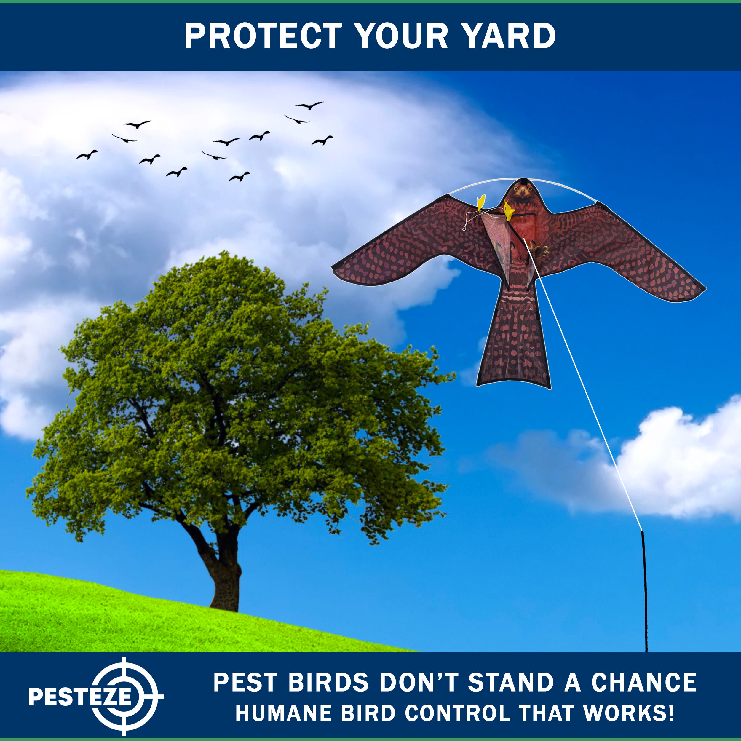 PESTEZE® USA Realistic Hawk Bird Scarer Kite [46 x 26 Inch with 13 ft Flagpole]. Use in Yards & Farms to Protect Vegetables, Fruits, Crops & Buildings from Pest Birds & Critters without Harming Them