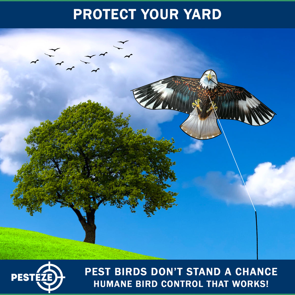 PESTEZE® USA Flying Hawk Bird Deterrent Kite, 13 ft Pole– Realistic 54x30 Inch Hawk Decoy Scare Device for Gardens, Yards, Boats & Farms– Repels Pest Birds like Crows, Pigeons, Seagulls, Geese Humanely