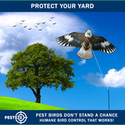 PESTEZE® USA Flying Hawk Bird Deterrent Kite, 13 ft Pole– Realistic 54x30 Inch Hawk Decoy Scare Device for Gardens, Yards, Boats & Farms– Repels Pest Birds like Crows, Pigeons, Seagulls, Geese Humanely