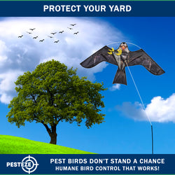 PESTEZE® USA Realistic Eagle Kite [2 Pack- 46 x 26 Inch with 13 ft Flagpole] Use in Yards & Farms to Protect Vegetables, Fruits & Crops from Pest Birds & Critters without Harming Them