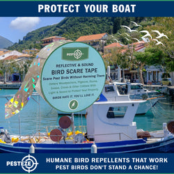 PESTEZE® Dual Sided Holographic Reflective & Sound Bird Scare Tape [2 Inch x 360 ft] Use in Yards & Farms to Protect Vegetables, Fruits, Crops & Buildings from Pest Birds & Critters without Harming them