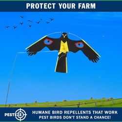 PESTEZE® Black Flying Hawk 54 x 30 Inch Kite with Predator Eyes & 13 ft Flagpole to Deter Birds. Use in Yards & Farms to Protect Vegetables, Fruits, Crops & Property from Pest Birds & Critters without Harming them