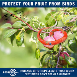 PESTEZE® Variety 27 Inch Realistic Rubber Snakes [5 Pack] Scares Pest Bids like Woodpeckers, Sparrows, Pigeons, Crows, Gulls & Critters without Harming them to Protect Property