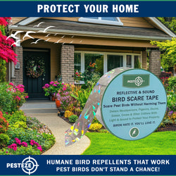 PESTEZE® Dual Sided Holographic Reflective & Sound Bird Scare Tape [2 Inch x 360 ft] Use in Yards & Farms to Protect Vegetables, Fruits, Crops & Buildings from Pest Birds & Critters without Harming them