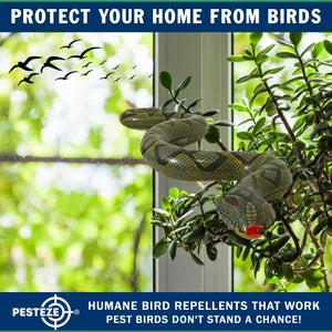 PESTEZE® Variety 27 Inch Realistic Rubber Snakes [5 Pack] Scares Pest Bids like Woodpeckers, Sparrows, Pigeons, Crows, Gulls & Critters without Harming them to Protect Property