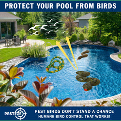 PESTEZE® USA 39 Inch Realistic Inflatable Snakes [3 Pack Multi-Color - 1 Grey-Green + 1 Brown + 1 Yellow-Green] Scares Pest Birds Like Ducks Woodpeckers, Sparrows, Pigeons, Crows, Gulls & Critters from Pools & Yard Without Harming them to Protect Property