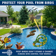 PESTEZE® USA 27 Inch Inflatible Snake [2 Pack - 1 Curly Yellow-Green + 1 Brown] Predators Pest Birds  like Woodpeckers, Sparrows, Pigeons, Crows, Gulls & Critters from Pools & Yards without Harming them to Protect Property