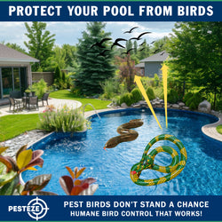 PESTEZE® USA 27 Inch Inflatible Snake [2 Pack - 1 Curly Yellow-Green + 1 Brown] Predators Pest Birds  like Woodpeckers, Sparrows, Pigeons, Crows, Gulls & Critters from Pools & Yards without Harming them to Protect Property