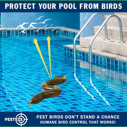 PESTEZE® USA Brown 39 Inch Realistic Inflatable Snakes [1 Pack] Repels Pest Birds Like Woodpeckers, Sparrows, Pigeons, Crows, Gulls & Critters from Pools & Yards Without Harming Them to Protect Property