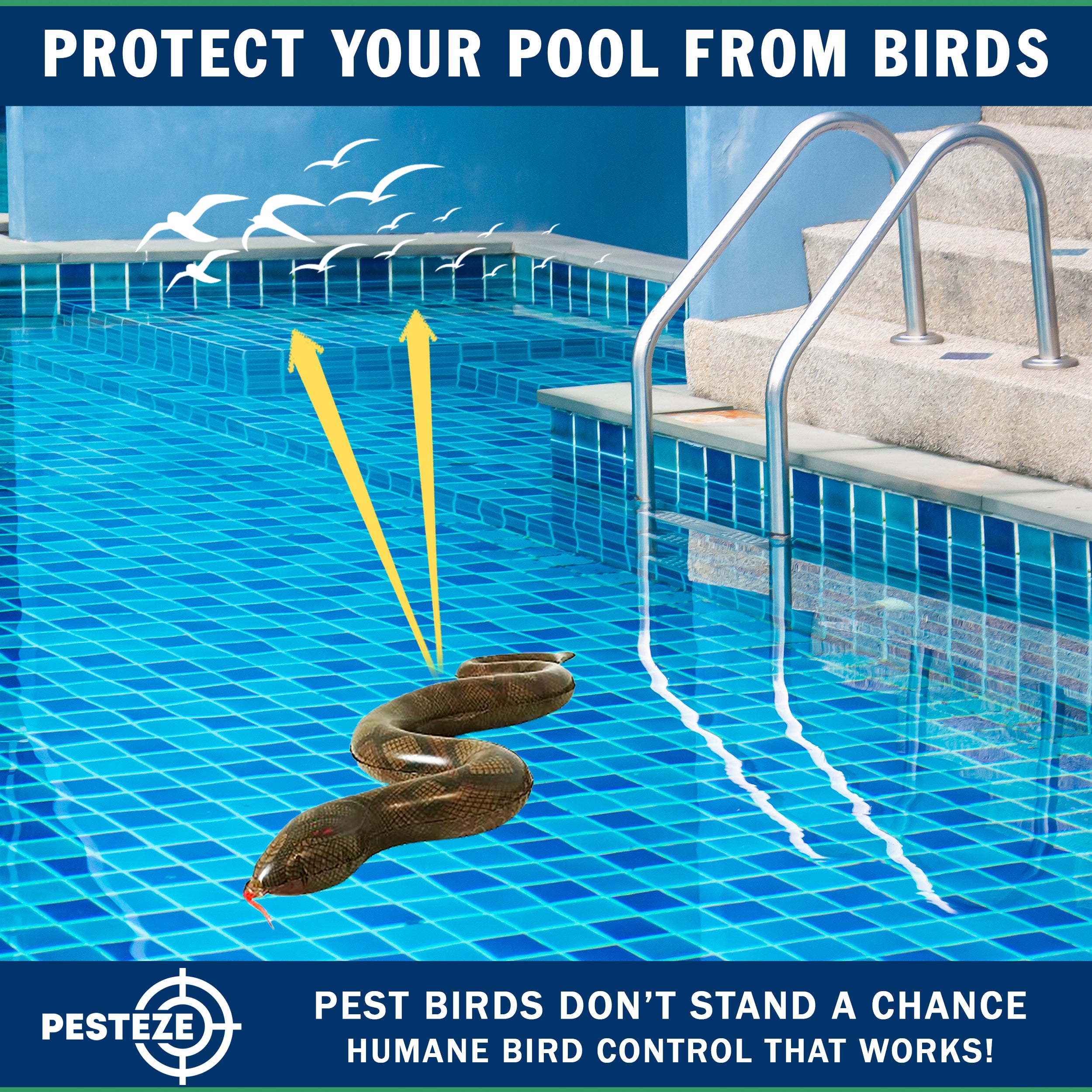 PESTEZE® USA Brown 39 Inch Realistic Inflatable Snakes [1 Pack] Repels Pest Birds Like Woodpeckers, Sparrows, Pigeons, Crows, Gulls & Critters from Pools & Yards Without Harming Them to Protect Property