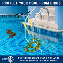 PESTEZE® USA 27 Inch Realistic Inflatable Snakes [2 Pack - 1 Yellow Green + 1 Grey Green] Scares Pest Birds Like Ducks Woodpeckers, Sparrows, Pigeons, Crows, Gulls & Critters from Pools & Yards Without Harming them to Protect Property