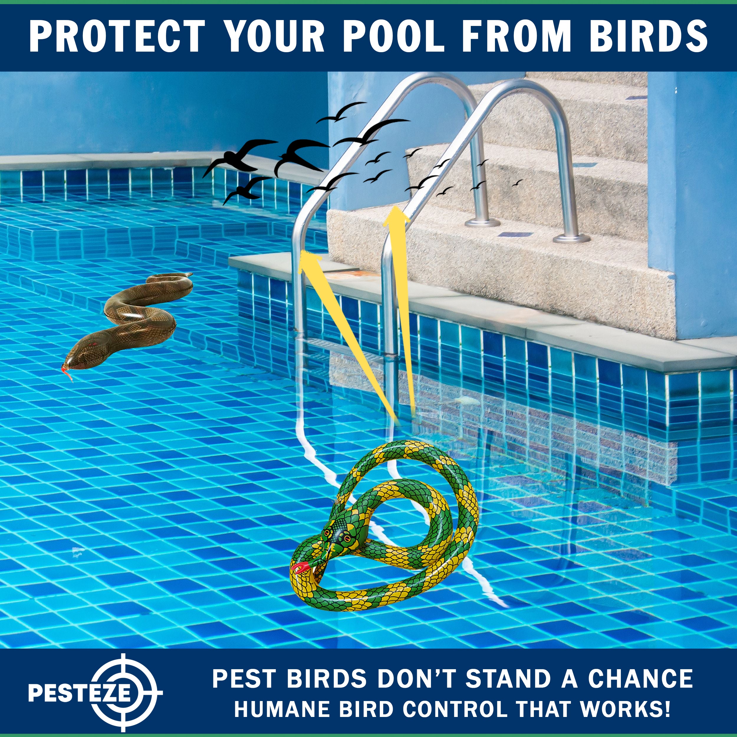 PESTEZE® USA 27 Inch Inflatible Snake [2 Pack - 1 Curly Yellow-Green + 1 Brown] Predators Pest Birds  like Woodpeckers, Sparrows, Pigeons, Crows, Gulls & Critters from Pools & Yards without Harming them to Protect Property