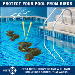 PESTEZE® USA 39 Inch Inflatible Snake [2 Pack Grey-Green Color] Deters Pest Birds like Woodpeckers, Sparrows, Pigeons, Crows, Gulls & Critters from Pools & Yards without Harming them to Protect Property