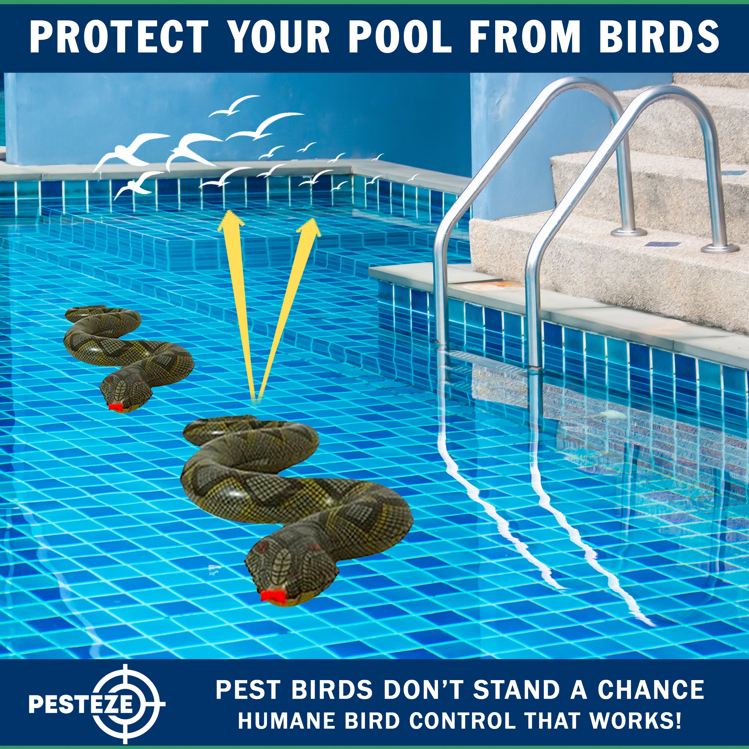 PESTEZE® USA 39 Inch Inflatible Snake [2 Pack Grey-Green Color] Deters Pest Birds like Woodpeckers, Sparrows, Pigeons, Crows, Gulls & Critters from Pools & Yards without Harming them to Protect Property