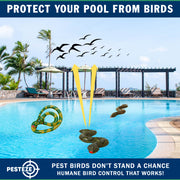 PESTEZE® USA 39 Inch Realistic Inflatable Snakes [3 Pack Multi-Color - 1 Grey-Green + 1 Brown + 1 Yellow-Green] Scares Pest Birds Like Ducks Woodpeckers, Sparrows, Pigeons, Crows, Gulls & Critters from Pools & Yard Without Harming them to Protect Property